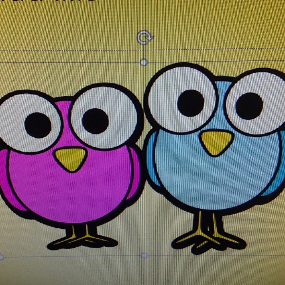 Meet your Posher, Hedvieg